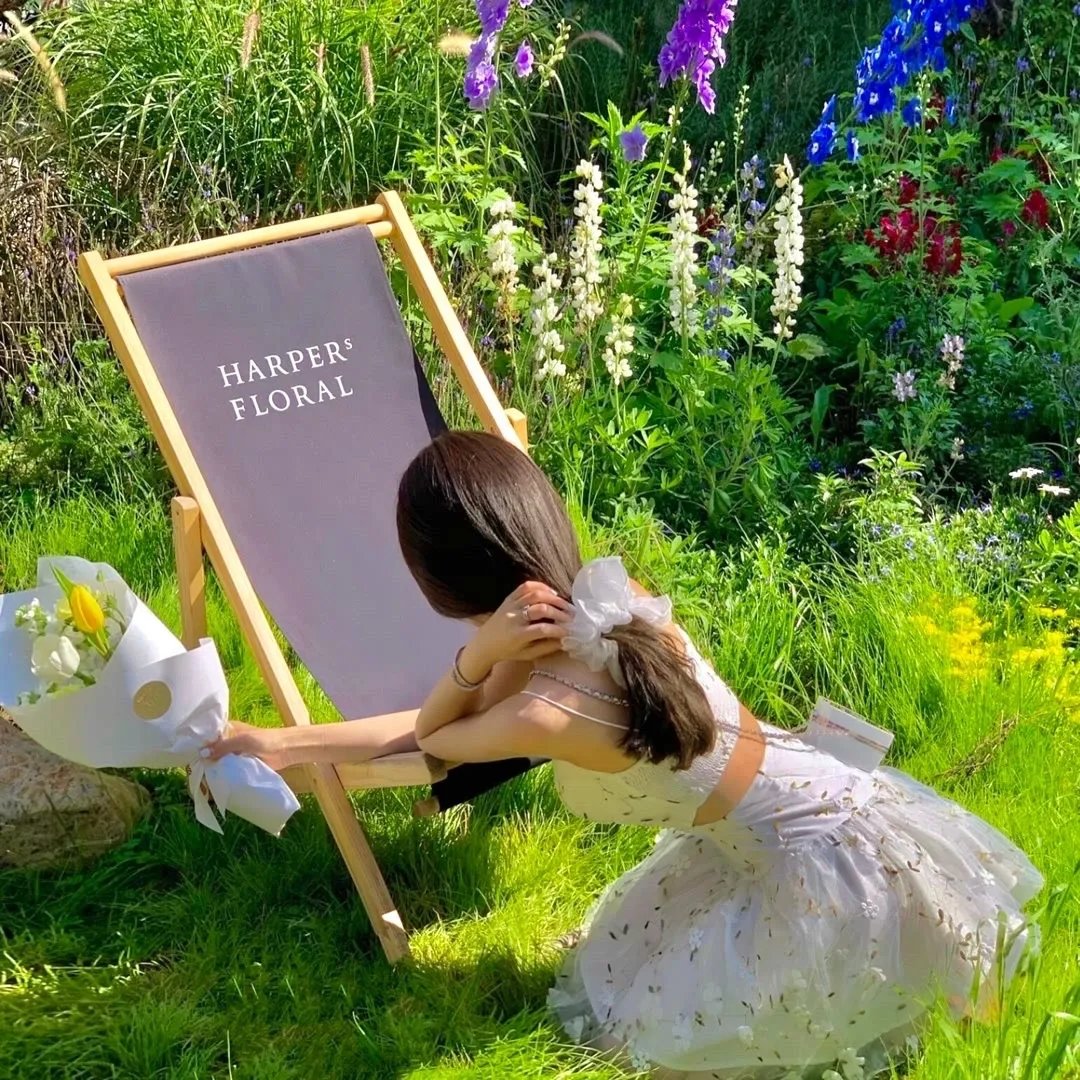 芭比之美人鱼历险记